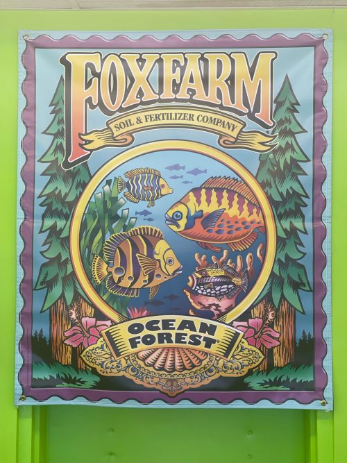 Photo Mar 26, 2 07 45 PM